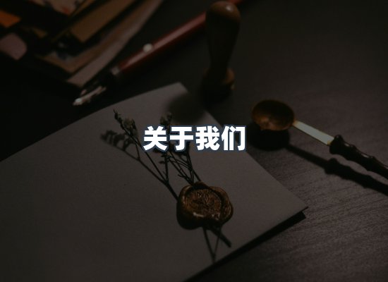 关于我们